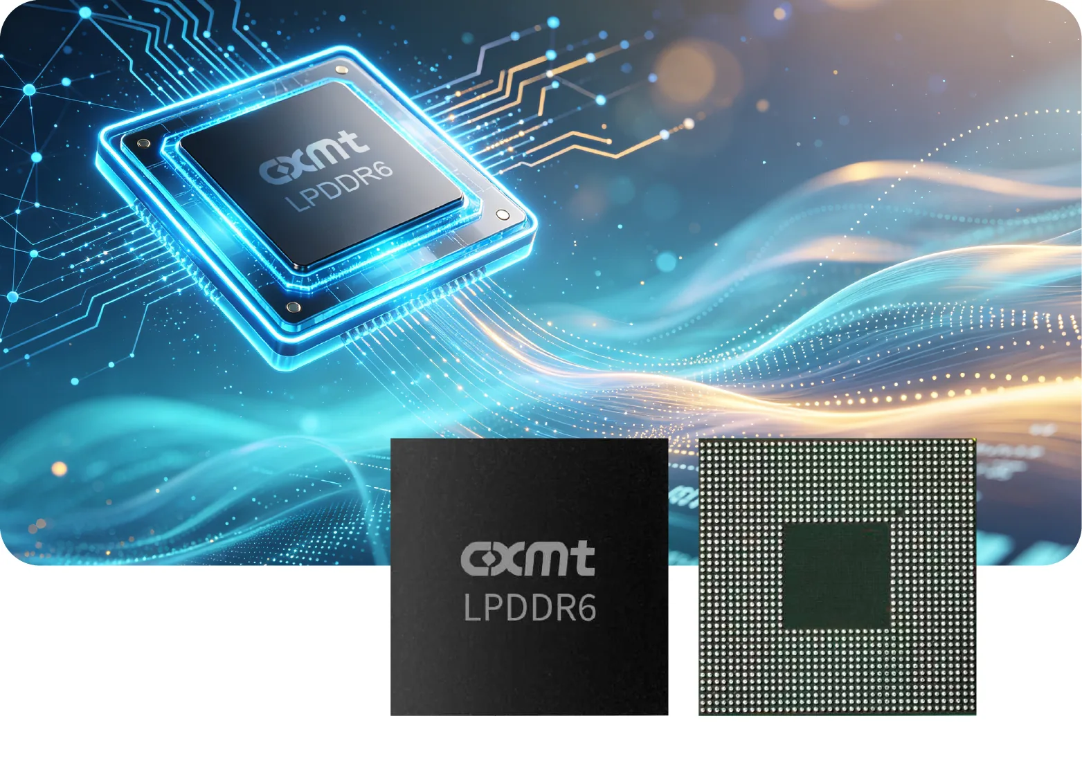 Boîtier officiel CXMT LPDDR6, face avant marquée et face BGA.